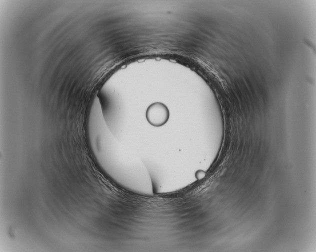 X0000096211265200802081453