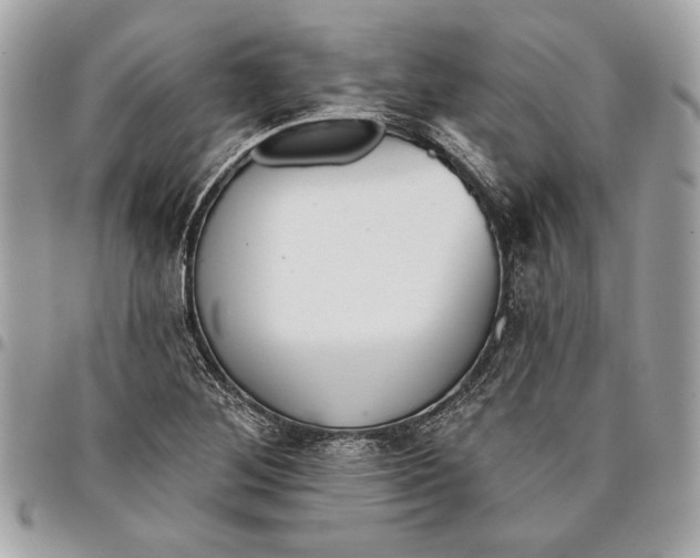 X0000096211268200802081453