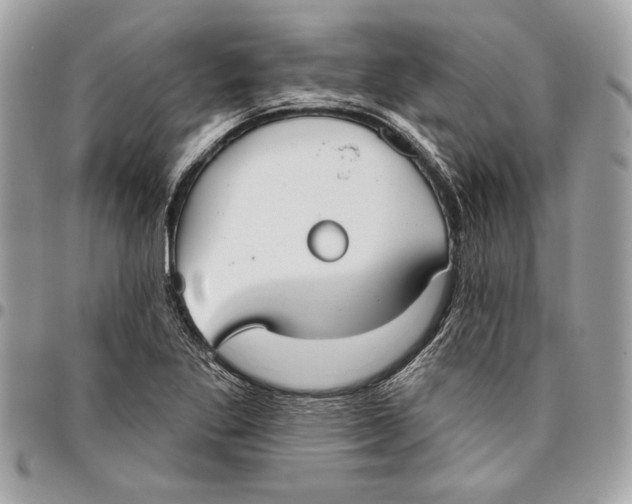 X0000096211269200802081453