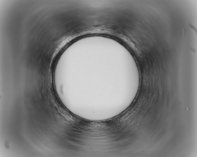 X0000096211270200802081453