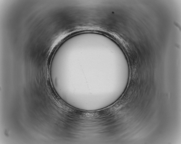 X0000096211271200802081453