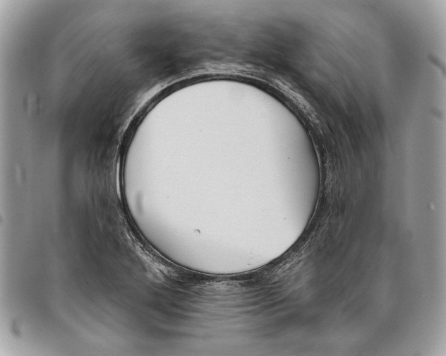 X0000096211272200802081453