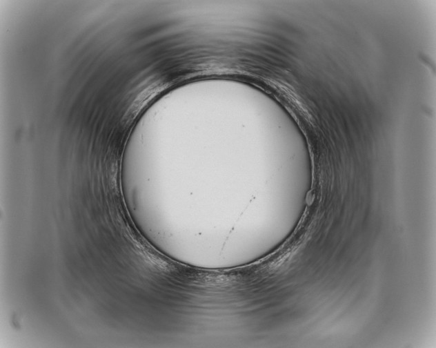 X0000096211273200802081453