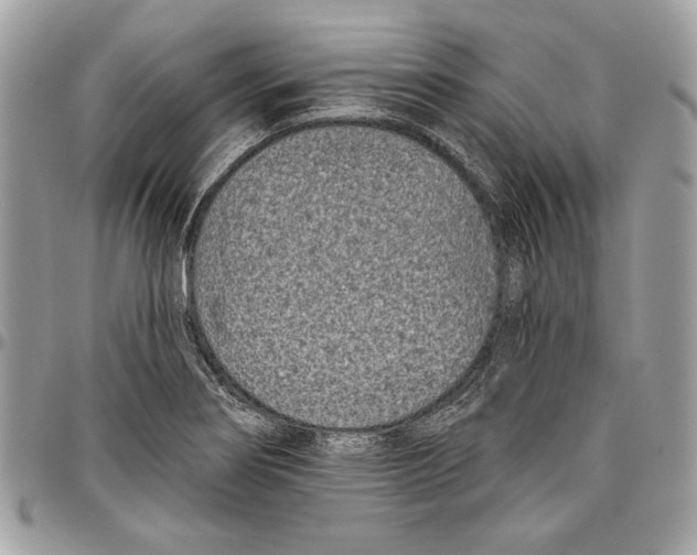 X0000096211274200802081453