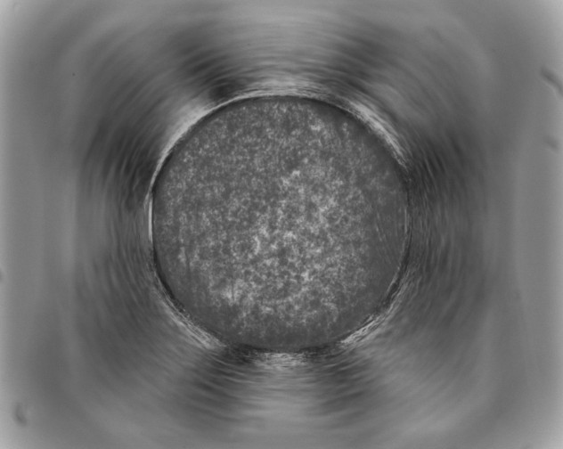 X0000096211275200802081453