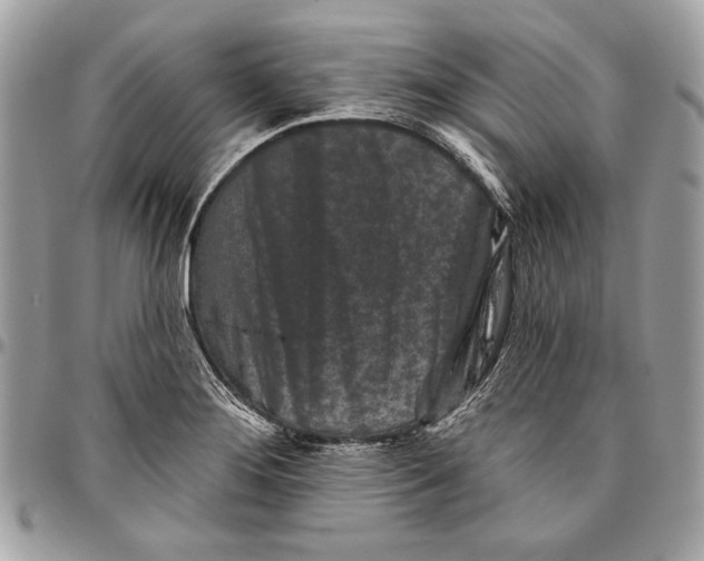 X0000096211276200802081453