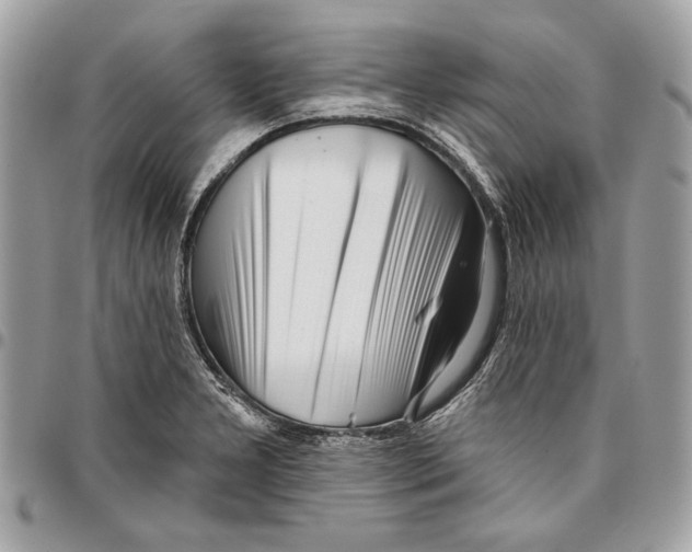 X0000096211277200802081453