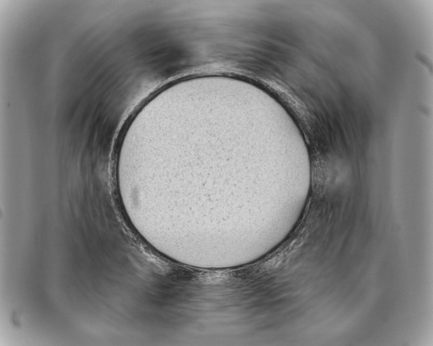 X0000096211278200802081453