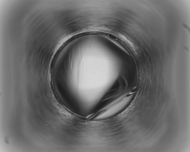 X0000096211280200802081453