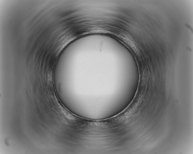 X0000096211281200802081453