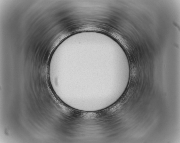 X0000096211282200802081453