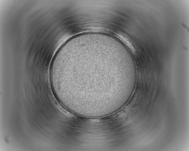 X0000096211283200802081453