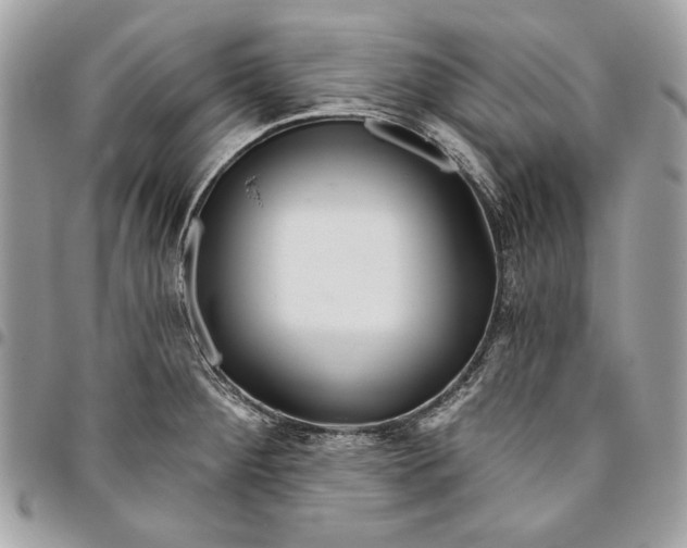 X0000096211284200802081453