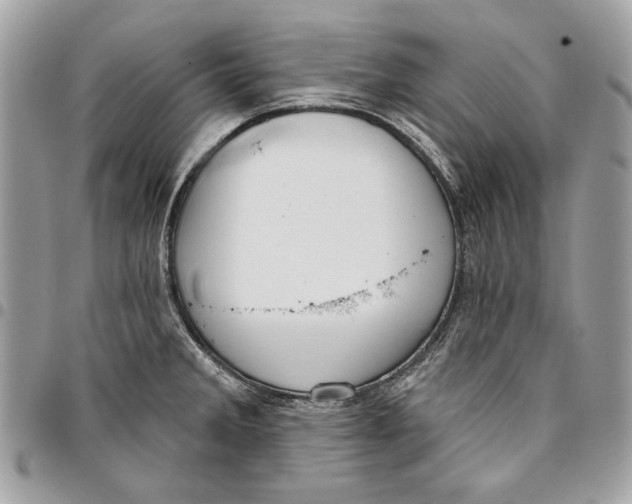 X0000096211285200802081453