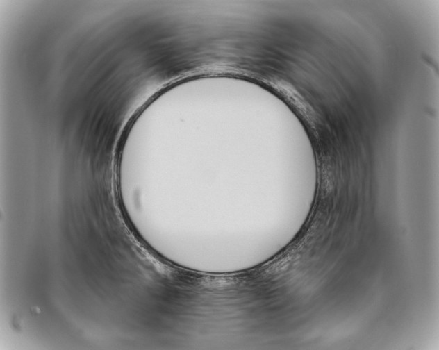 X0000096211286200802081453