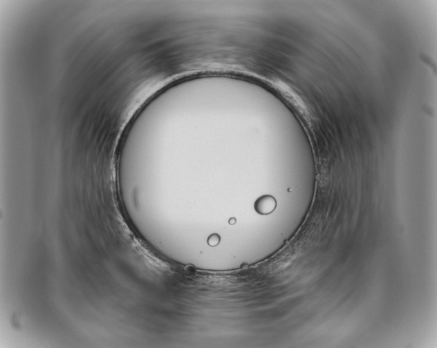 X0000096211287200802081453