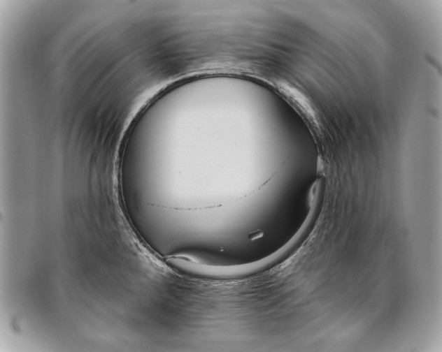 X0000096211288200802081453