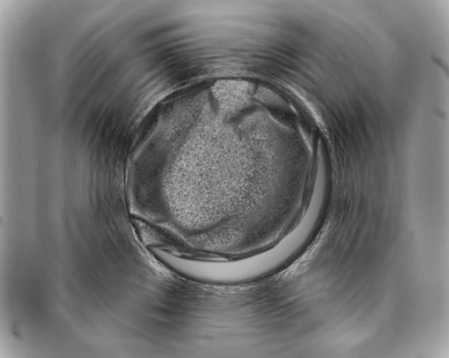 X0000096211289200802081453