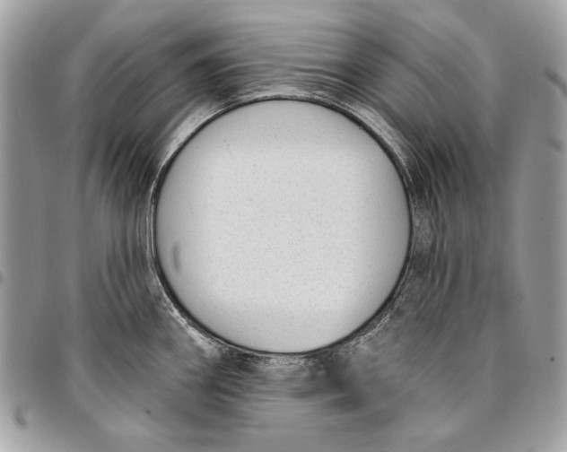 X0000096211290200802081453