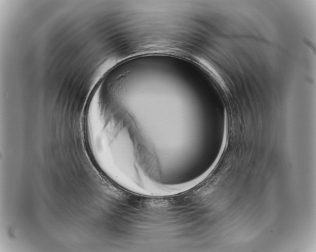 X0000096211291200802081453