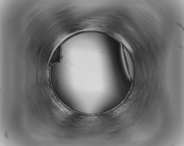 X0000096211292200802081453