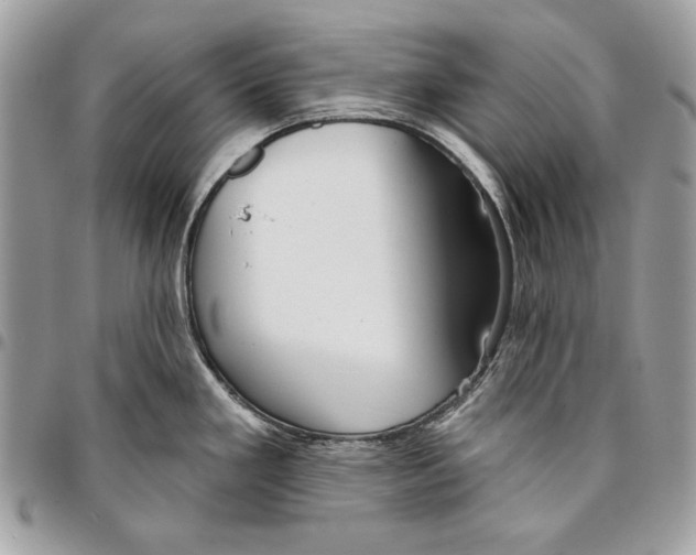 X0000096211293200802081453