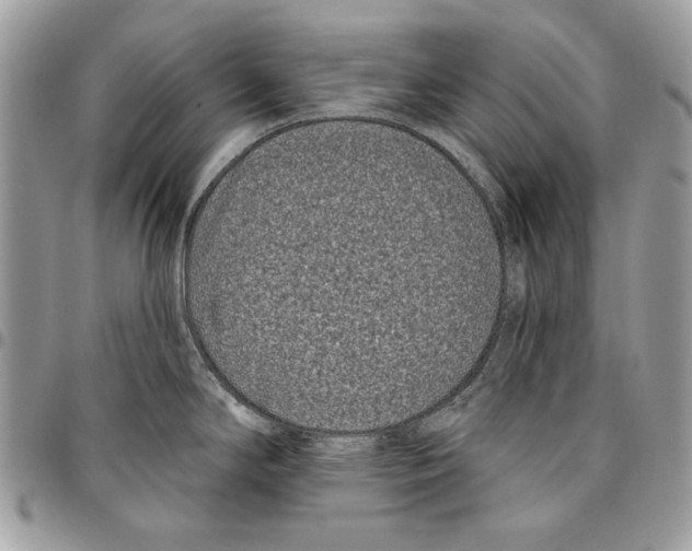 X0000096211294200802081453