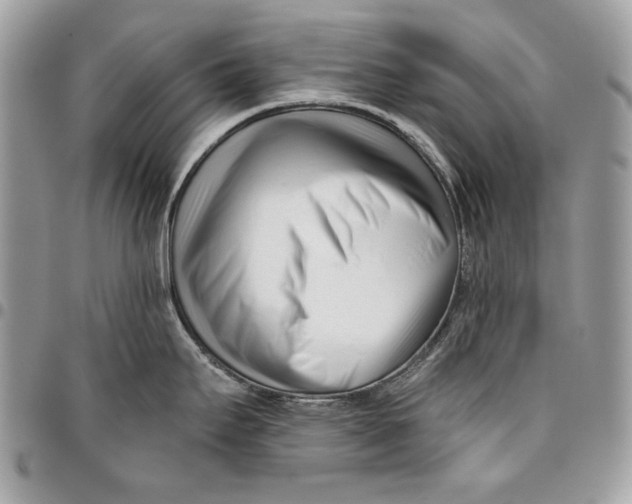 X0000096211295200802081453