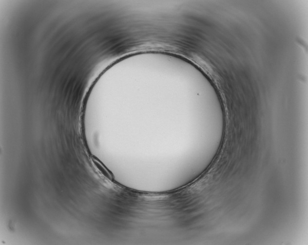 X0000096211296200802081453