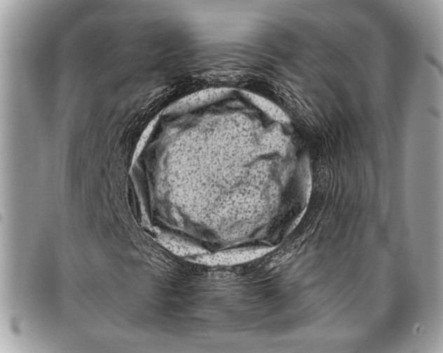 X0000096211297200802081452