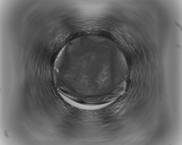 X0000096211298200802081452