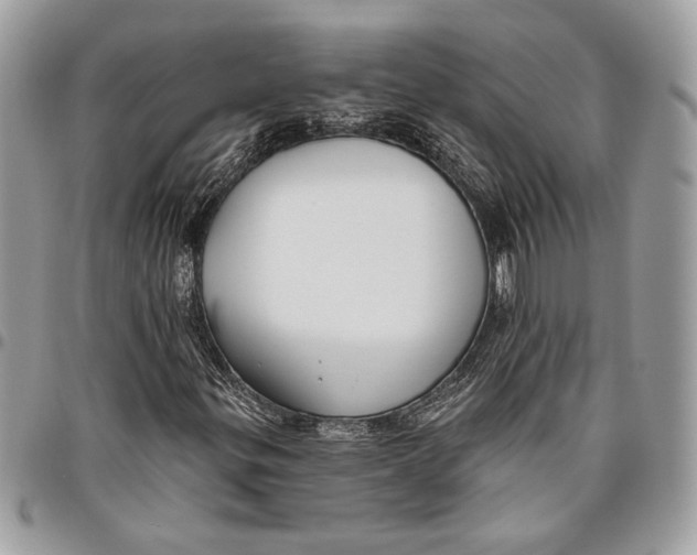 X0000096211299200802081452