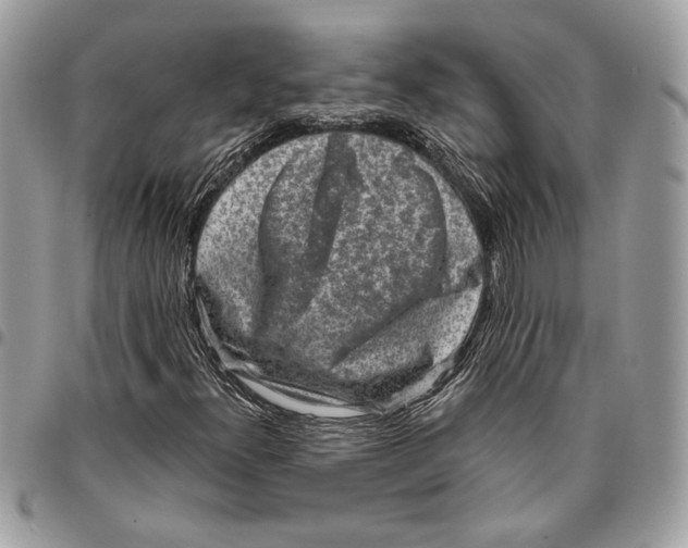 X0000096211300200802081452