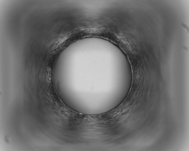 X0000096211301200802081452