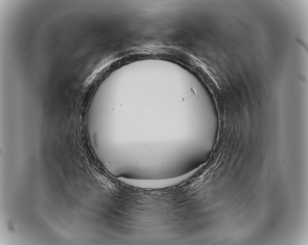 X0000096211304200802081452