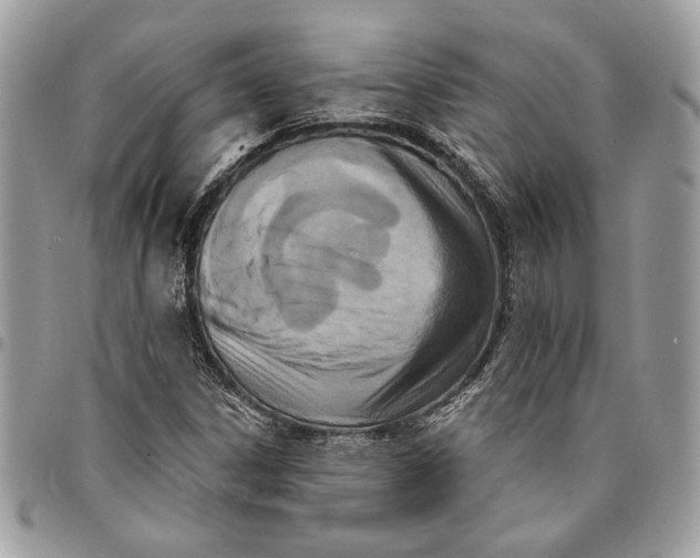 X0000096211306200802081452