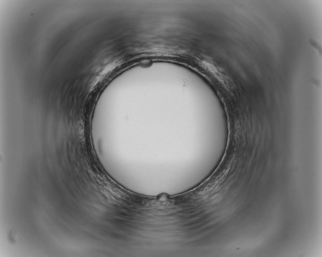 X0000096211307200802081452