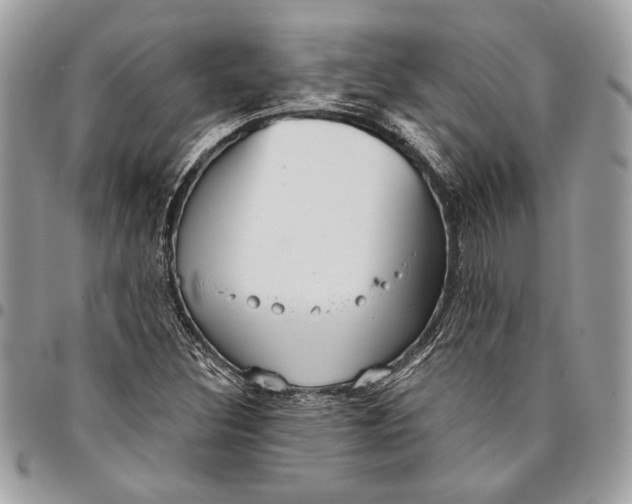 X0000096211308200802081452