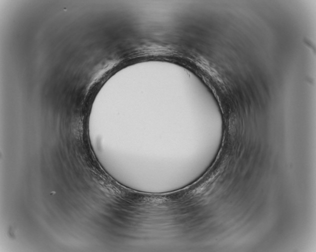 X0000096211309200802081452