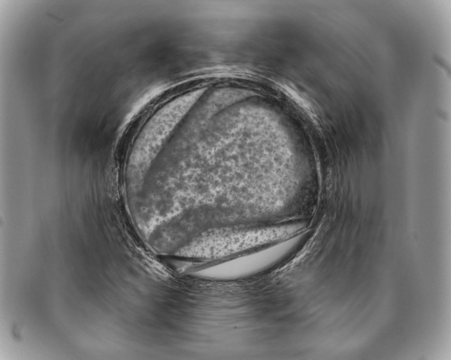 X0000096211310200802081452