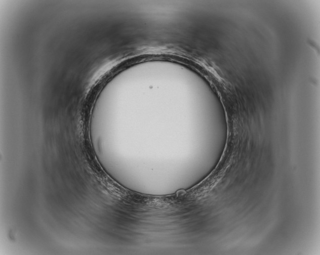 X0000096211311200802081452