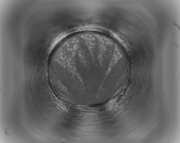 X0000096211312200802081452