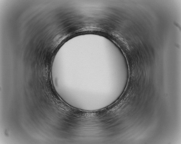 X0000096211313200802081452