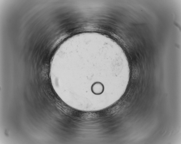 X0000096211314200802081452