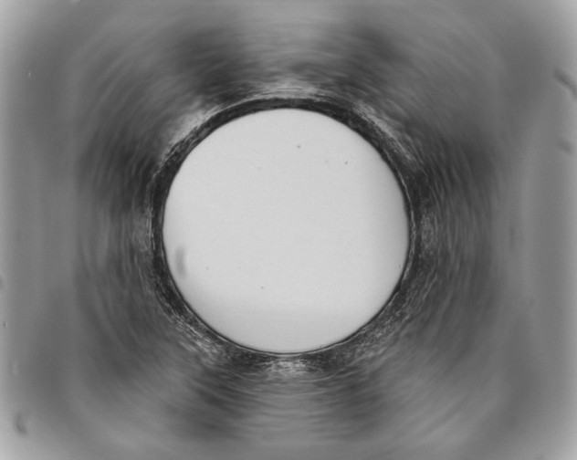 X0000096211315200802081452