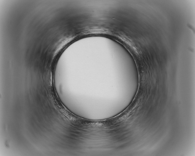 X0000096211317200802081452