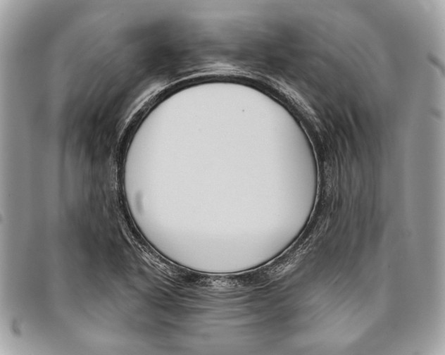 X0000096211318200802081452