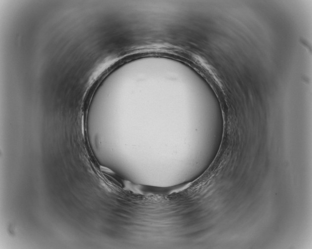 X0000096211320200802081452