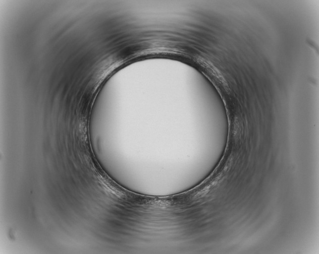 X0000096211321200802081452