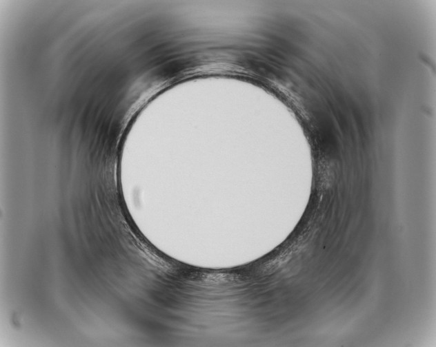 X0000096211322200802081452